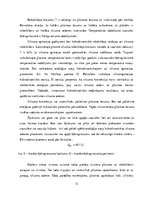 Referāts 'Siltuma pārnese konvekcijas ceļā', 12.