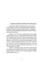 Prakses atskaite 'SIA LSEZ "Duna"', 6.