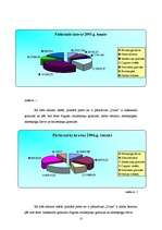 Prakses atskaite 'SIA LSEZ "Duna"', 13.
