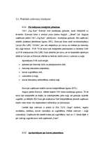 Prakses atskaite 'SIA LSEZ "Duna"', 21.