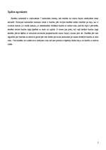 Konspekts 'Spēle sportā', 2.