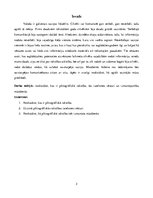 Referāts 'Piktogrāfiskā rakstība', 3.