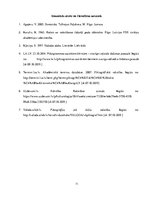 Referāts 'Piktogrāfiskā rakstība', 11.