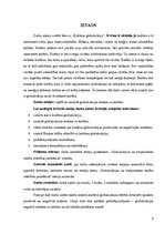 Referāts 'Kultūras globalizācija', 2.