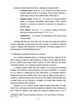 Referāts 'Cenu veidošanas pamatprincipi', 12.