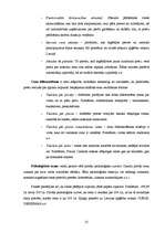 Referāts 'Cenu veidošanas pamatprincipi', 25.