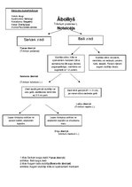 Paraugs 'Āboliņa klasifikācija', 1.
