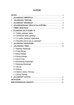 Referāts 'Fotomākslas virzieni 21.gadsimtā', 1.