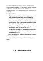 Referāts 'Fotomākslas virzieni 21.gadsimtā', 8.