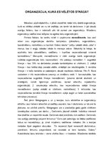 Eseja 'Organizācija, kurā es vēlētos strādāt', 1.