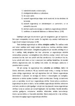 Eseja 'Organizācija, kurā es vēlētos strādāt', 5.