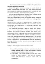 Eseja 'Organizācija, kurā es vēlētos strādāt', 6.