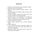 Eseja 'Organizācija, kurā es vēlētos strādāt', 8.