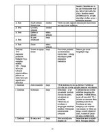 Konspekts 'Latviešu literatūras tabula 10.,11. un 12.klasei', 25.