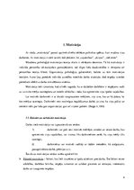 Referāts 'SIA "Prieks" darbinieku motivācijas politikas analīze', 4.