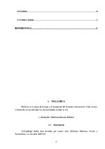 Konspekts 'La isla Española - Mallorca', 2.