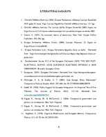 Referāts 'Vēlētāju līdzdalība reģionos 2019. gada Eiropas Paramenta vēlēšanās Latvijā', 19.