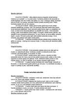 Konspekts 'Rotaļas un stafetes', 2.