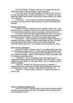 Konspekts 'Rotaļas un stafetes', 3.