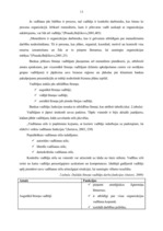 Prakses atskaite 'Prakses atskaite a/s "Parex banka"', 12.