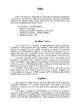 Referāts 'Zelts', 2.