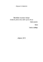 Referāts 'Biežākās traumas hokejā', 1.