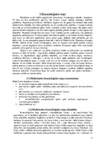 Referāts 'Biežākās traumas hokejā', 11.