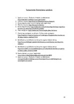 Referāts 'Biežākās traumas hokejā', 22.