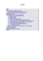 Referāts 'SIA dibināšana', 2.