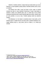 Referāts 'SIA dibināšana', 6.