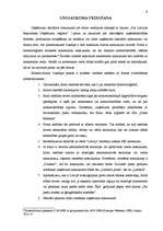 Referāts 'SIA dibināšana', 9.