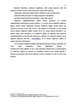 Referāts 'SIA dibināšana', 10.