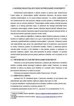 Referāts 'SIA dibināšana', 11.