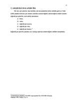 Referāts 'SIA dibināšana', 17.