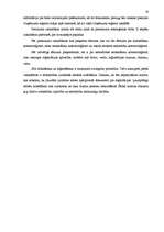 Referāts 'SIA dibināšana', 19.