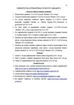 Referāts 'SIA dibināšana', 20.