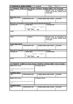 Referāts 'SIA dibināšana', 23.