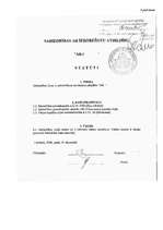 Referāts 'SIA dibināšana', 30.