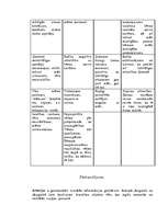 Referāts 'Praktiskais darbs klīniskajā psiholoģijā', 5.