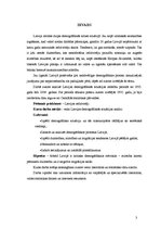 Referāts 'Demogrāfiskā situācija Latvijā', 3.