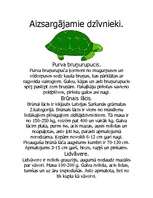Eseja 'Aizsargājamie dzīvnieki', 1.