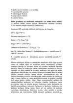 Referāts 'Iekšzemes kopprodukts', 4.