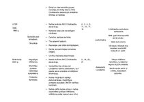 Konspekts 'Cilvēktiesību pārkāpumi pasaules un Latvijas vēstures notikumos', 2.