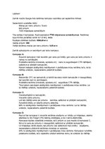 Paraugs 'Google Ads kampaņu rezultāti', 1.