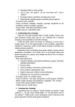 Konspekts 'Grupas attīstības fāzes', 5.