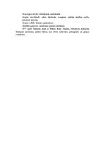 Konspekts 'Grupas attīstības fāzes', 7.