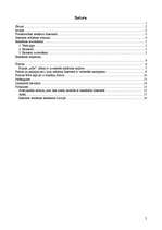 Referāts 'Reklāma internetā', 2.