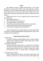 Referāts 'Reklāma internetā', 3.