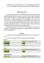 Referāts 'Reklāma internetā', 6.