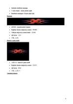 Referāts 'Reklāma internetā', 8.